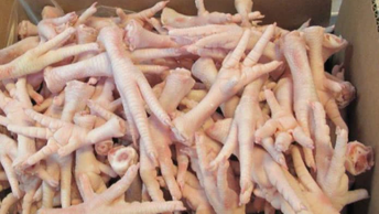 Frozen Chicken Feet Grade A Grade A Condition Frozen Processing Well-cleaned, trimmed, and prepared for bulk supply Appearance Clean and consistent product presentation for wholesale buyers - ACRO IFC & Co.,  - Pakistan